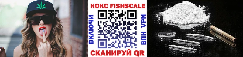 mega маркетплейс  Рыбинск  Cocaine Fish Scale 
