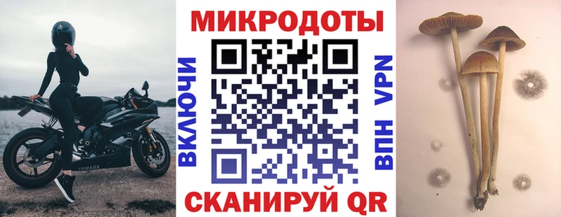 Псилоцибиновые грибы Cubensis  где купить наркотик  Рыбинск 